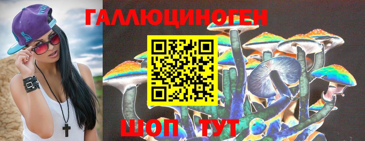 Псилоцибиновые грибы GOLDEN TEACHER  Вход с VPN  Псилоцибиновые грибы Psilocybine cubensis  магазин  наркотиков  Балашиха 